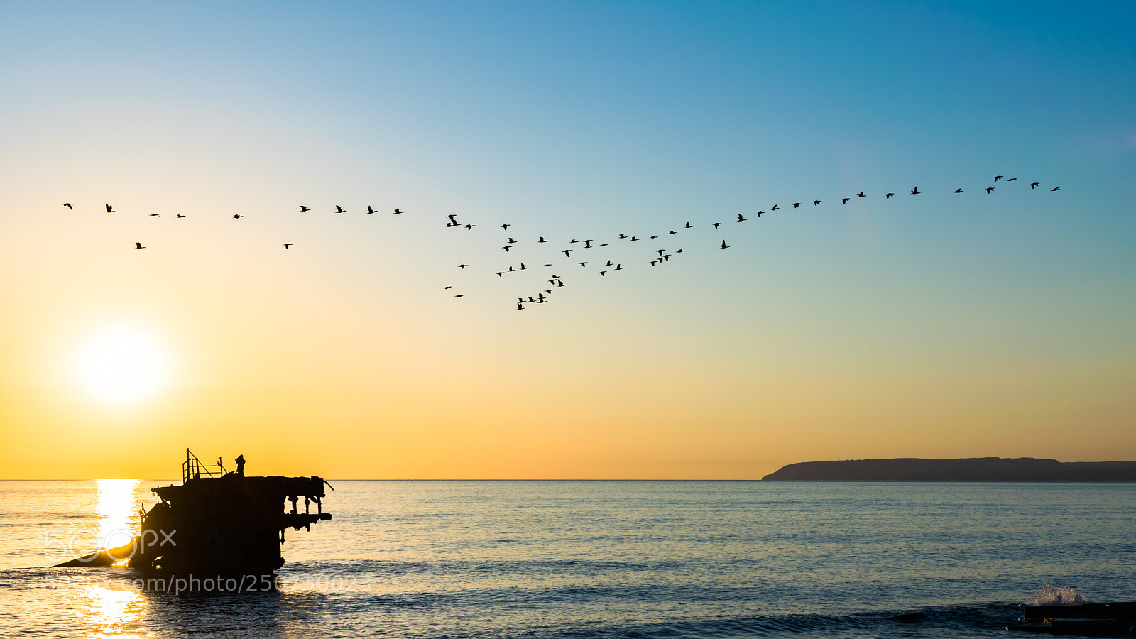 Nikon D5300 sample photo. Amazing bird formation!! photography