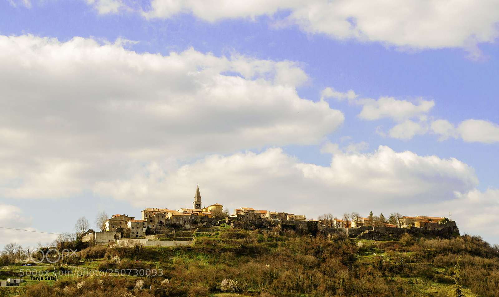 Nikon D5100 sample photo. Buzet photography