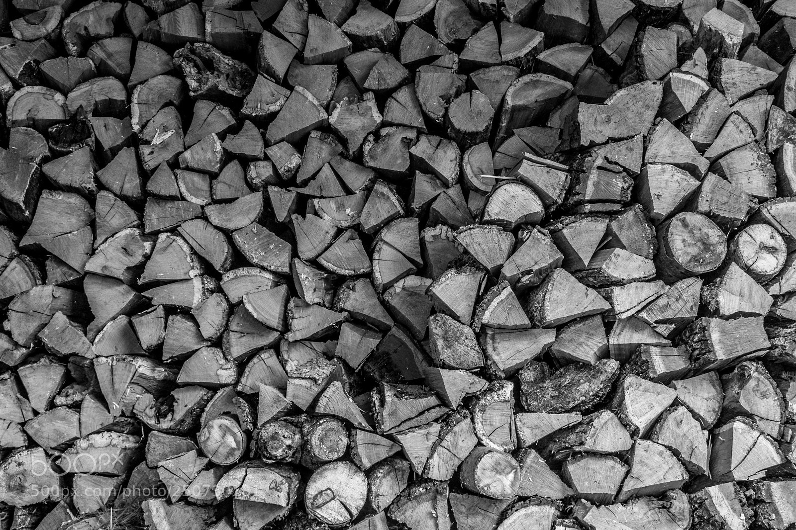 Canon EOS 80D sample photo. Wood wood photography