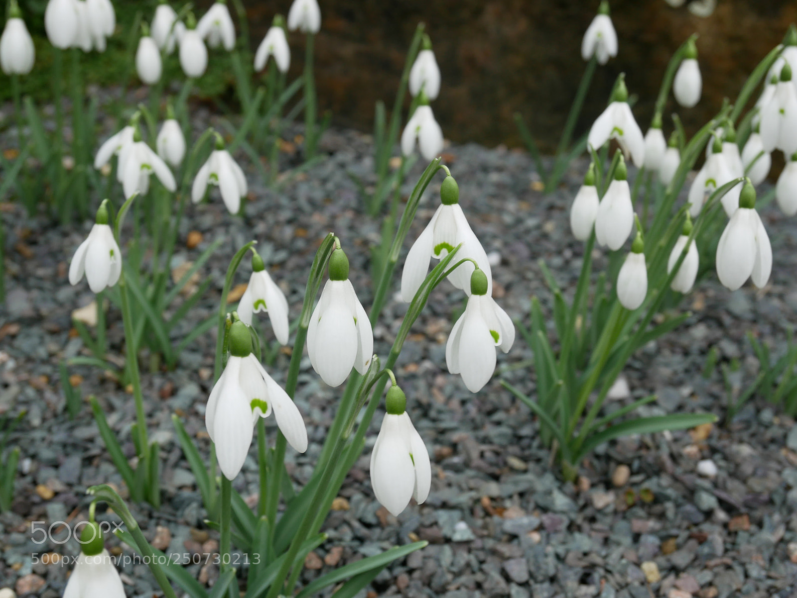 Panasonic Lumix DMC-GX85 (Lumix DMC-GX80 / Lumix DMC-GX7 Mark II) sample photo. Kew gardens photography