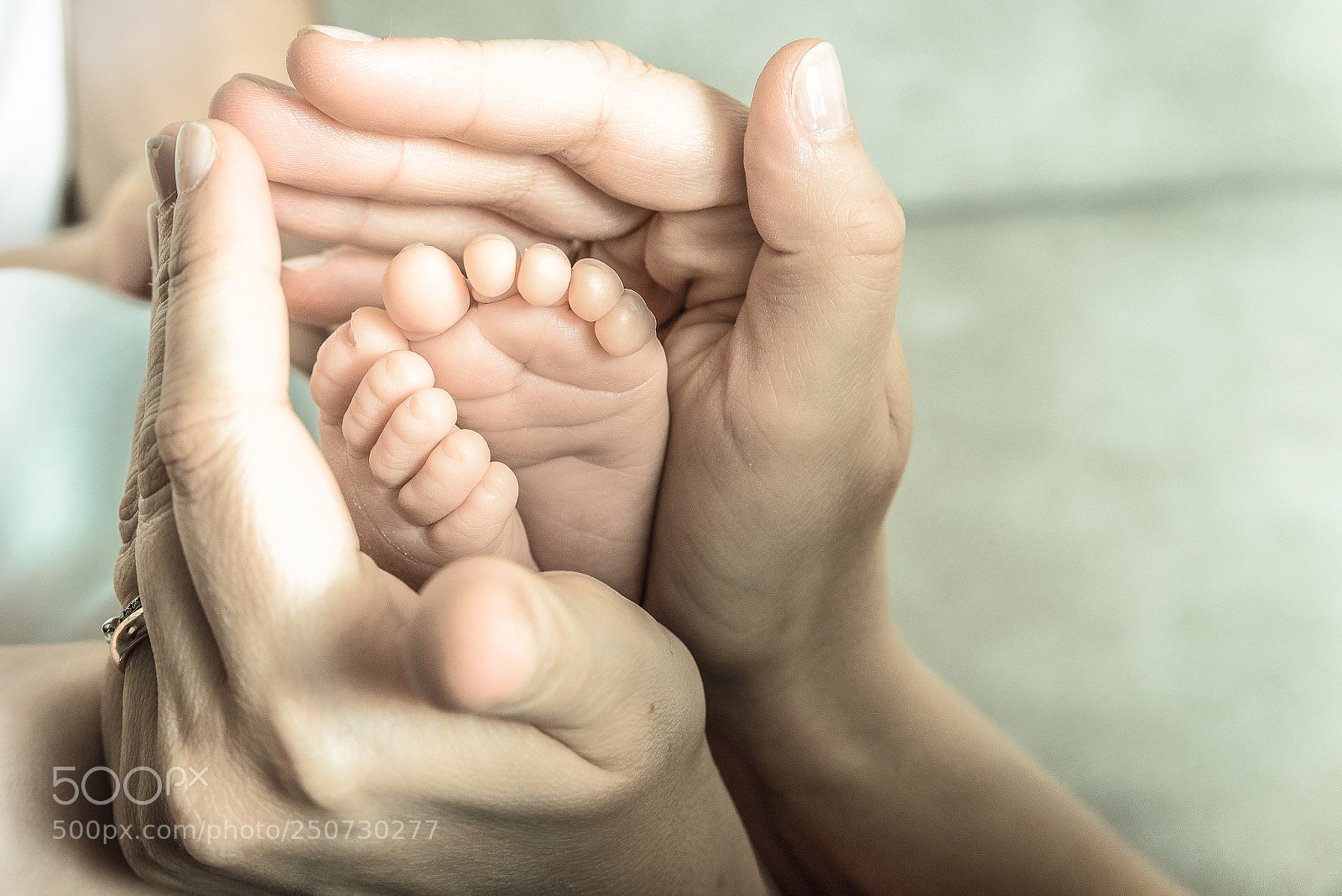 Nikon D610 sample photo. Untitled photography