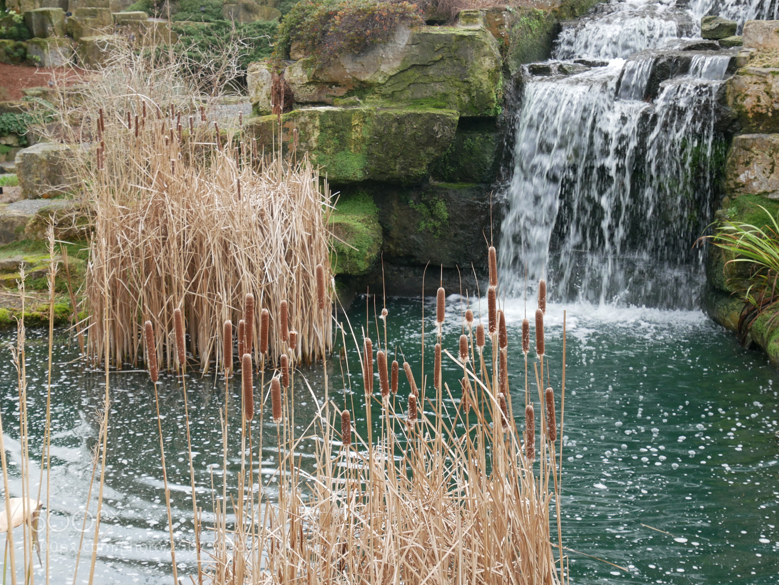 Panasonic Lumix DMC-GX85 (Lumix DMC-GX80 / Lumix DMC-GX7 Mark II) sample photo. Kew gardens photography