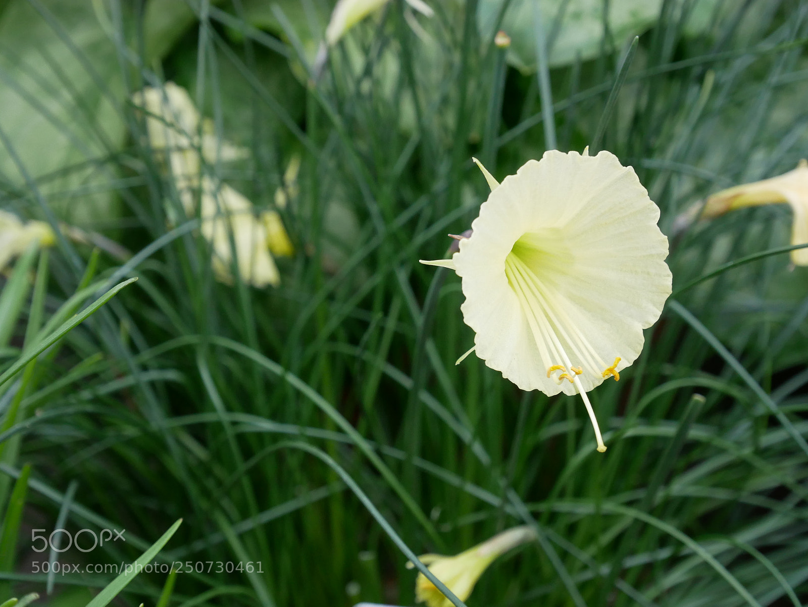 Panasonic Lumix DMC-GX85 (Lumix DMC-GX80 / Lumix DMC-GX7 Mark II) sample photo. Kew gardens photography