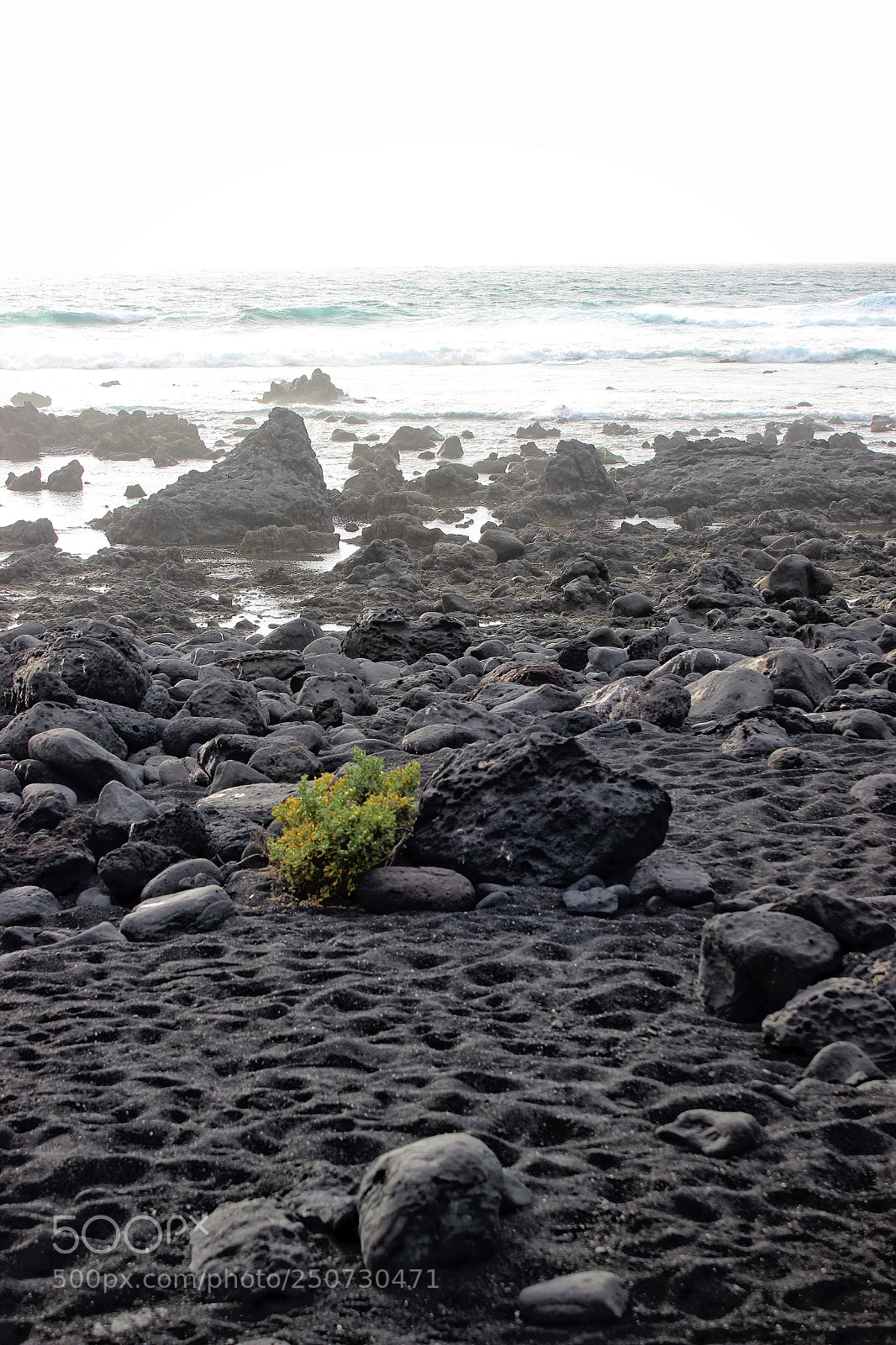 Canon EOS 600D (Rebel EOS T3i / EOS Kiss X5) sample photo. El golfo 6 photography