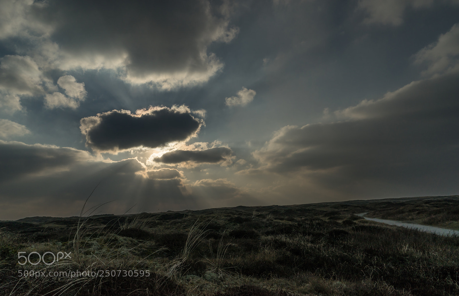 Sony a7R sample photo. Dunes in winter photography
