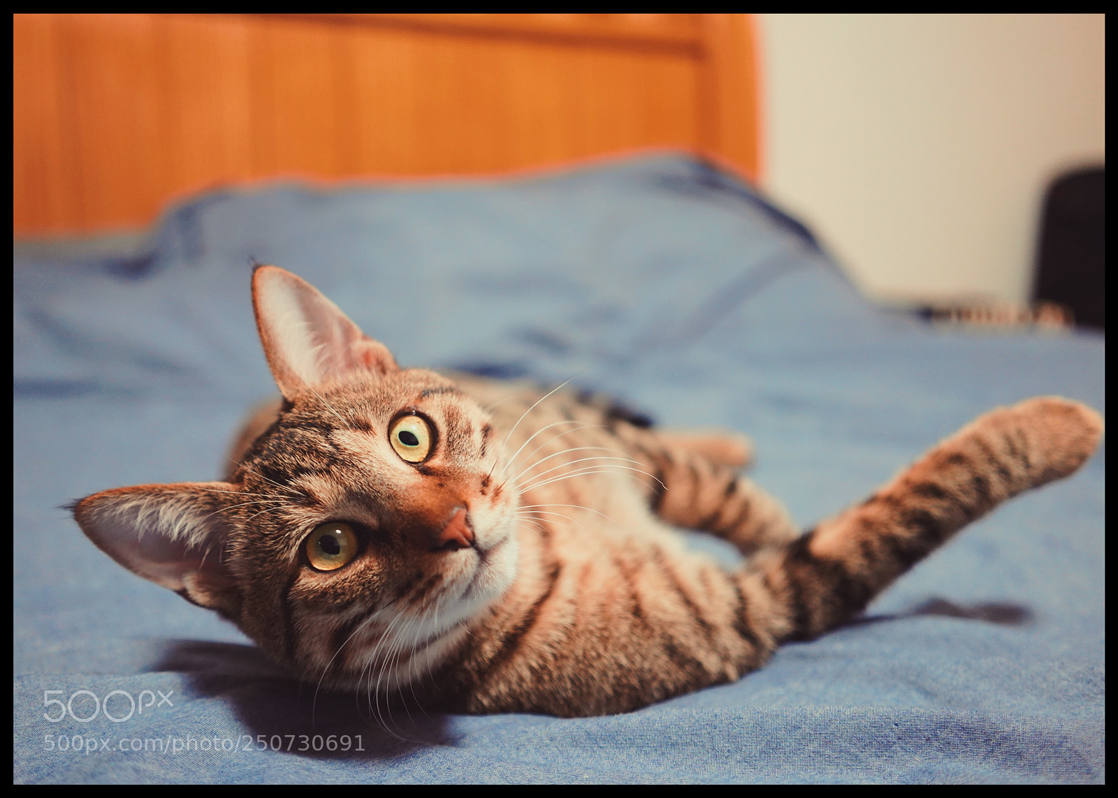 Sony a7 III sample photo. Untitled photography
