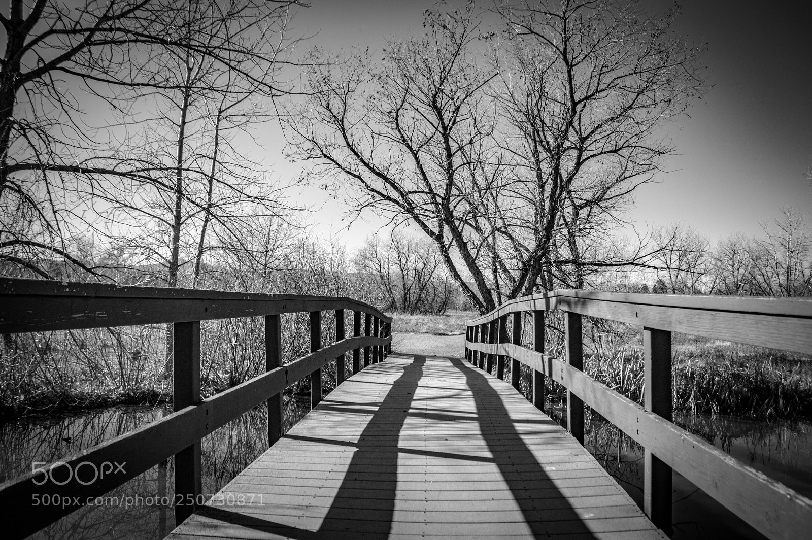 Nikon D3200 sample photo. Wooden bridge photography