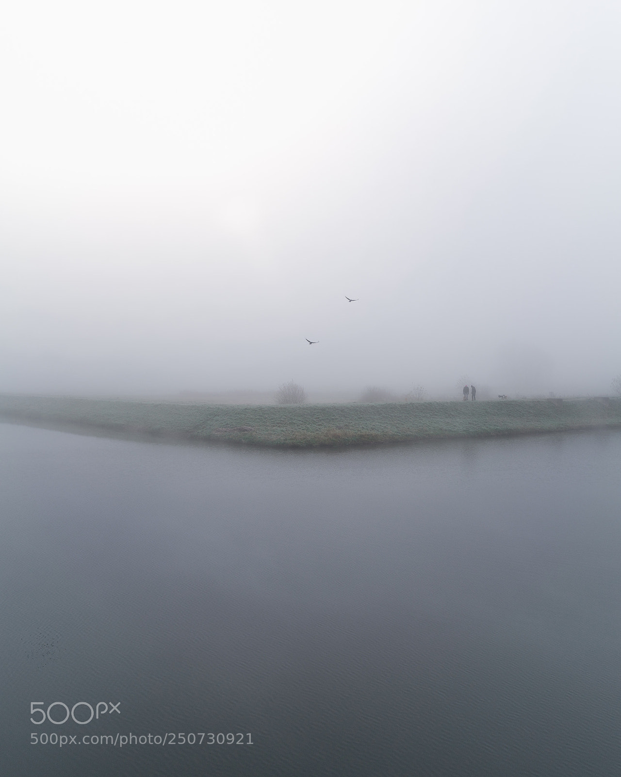 Sony a7R II sample photo. Foggy day photography