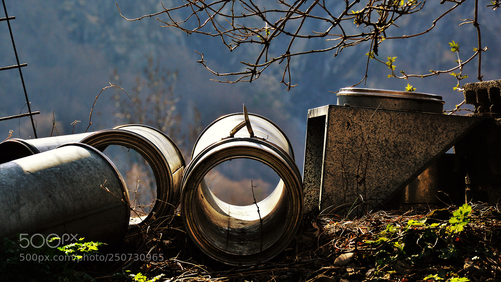 Nikon D3200 sample photo. Untitled photography