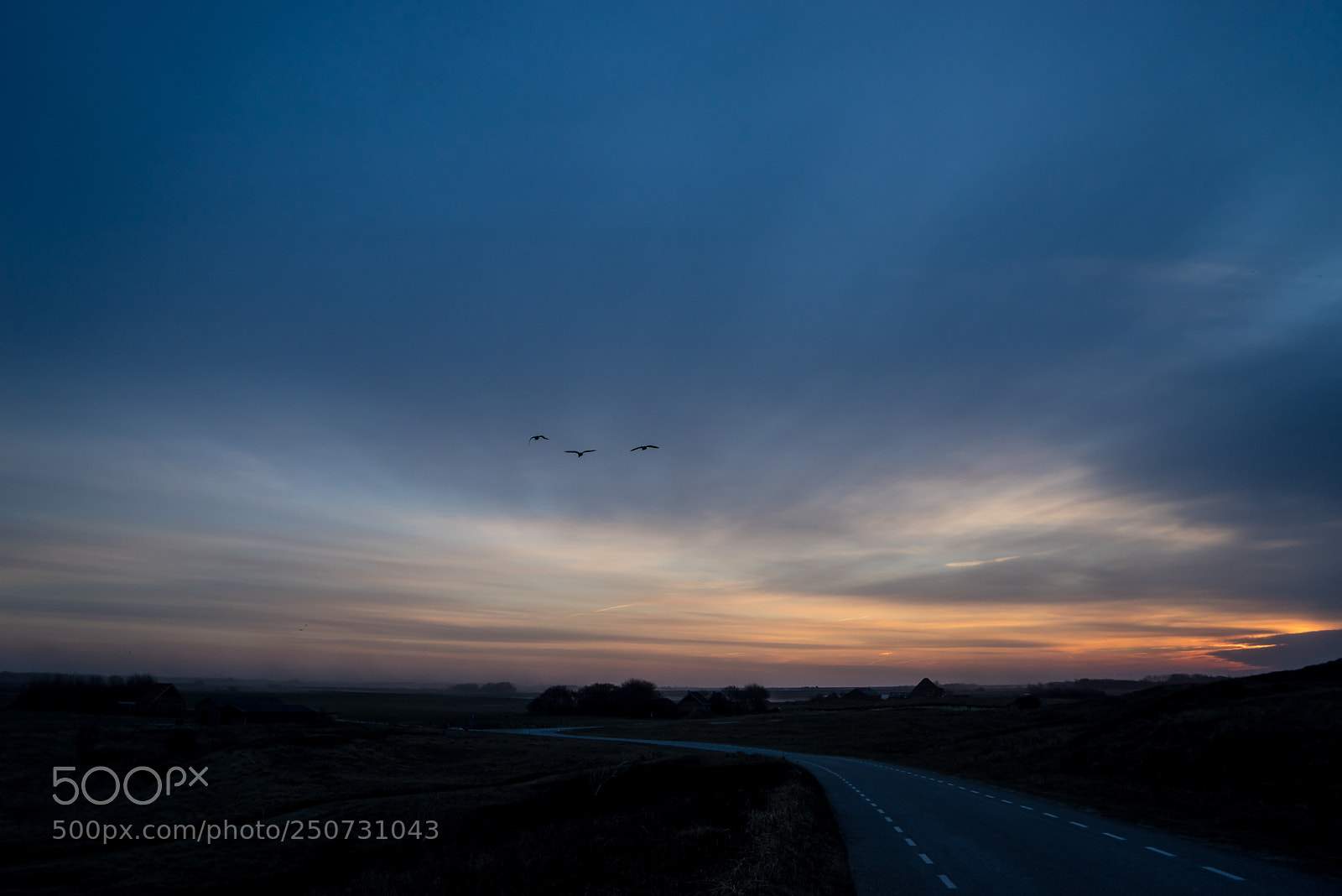 Sony a7R sample photo. Early birds at texel photography