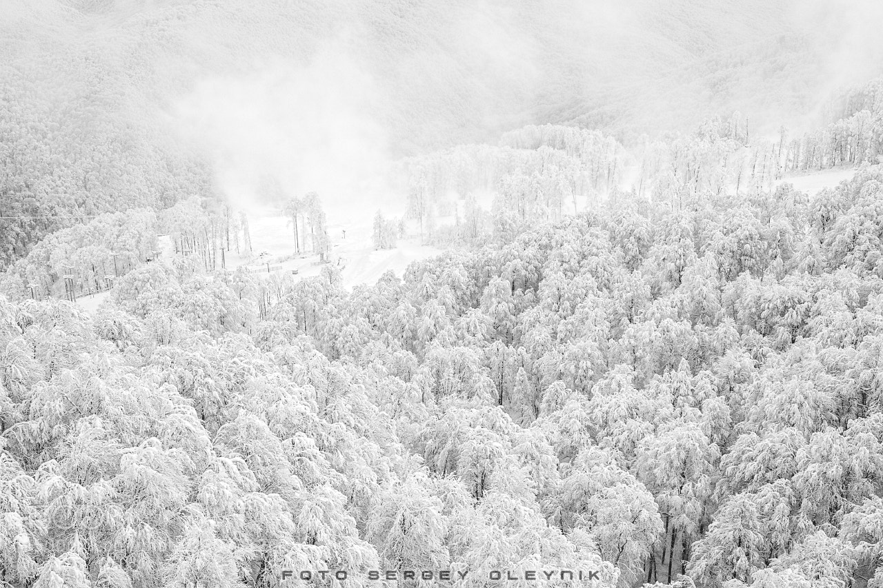 Canon EOS 5D Mark II sample photo. Winter's tale photography