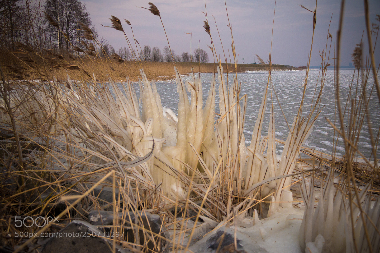 Canon EOS 70D sample photo. Beauty of wintertime photography