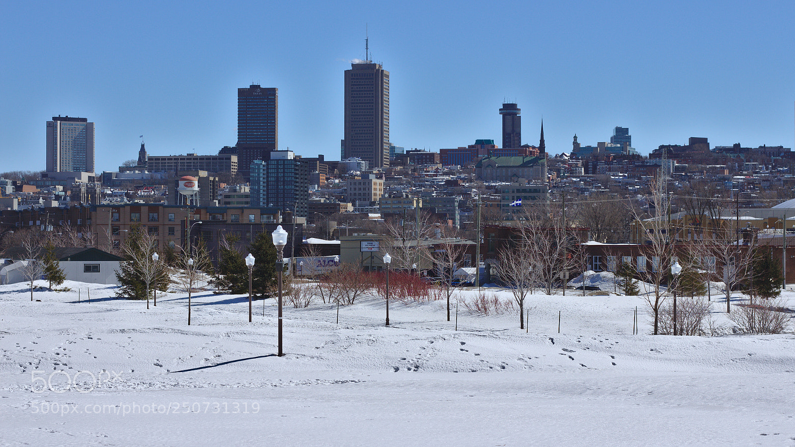 Canon EOS 700D (EOS Rebel T5i / EOS Kiss X7i) + Canon EF 50mm F1.8 STM sample photo. Qu bec city, qc photography
