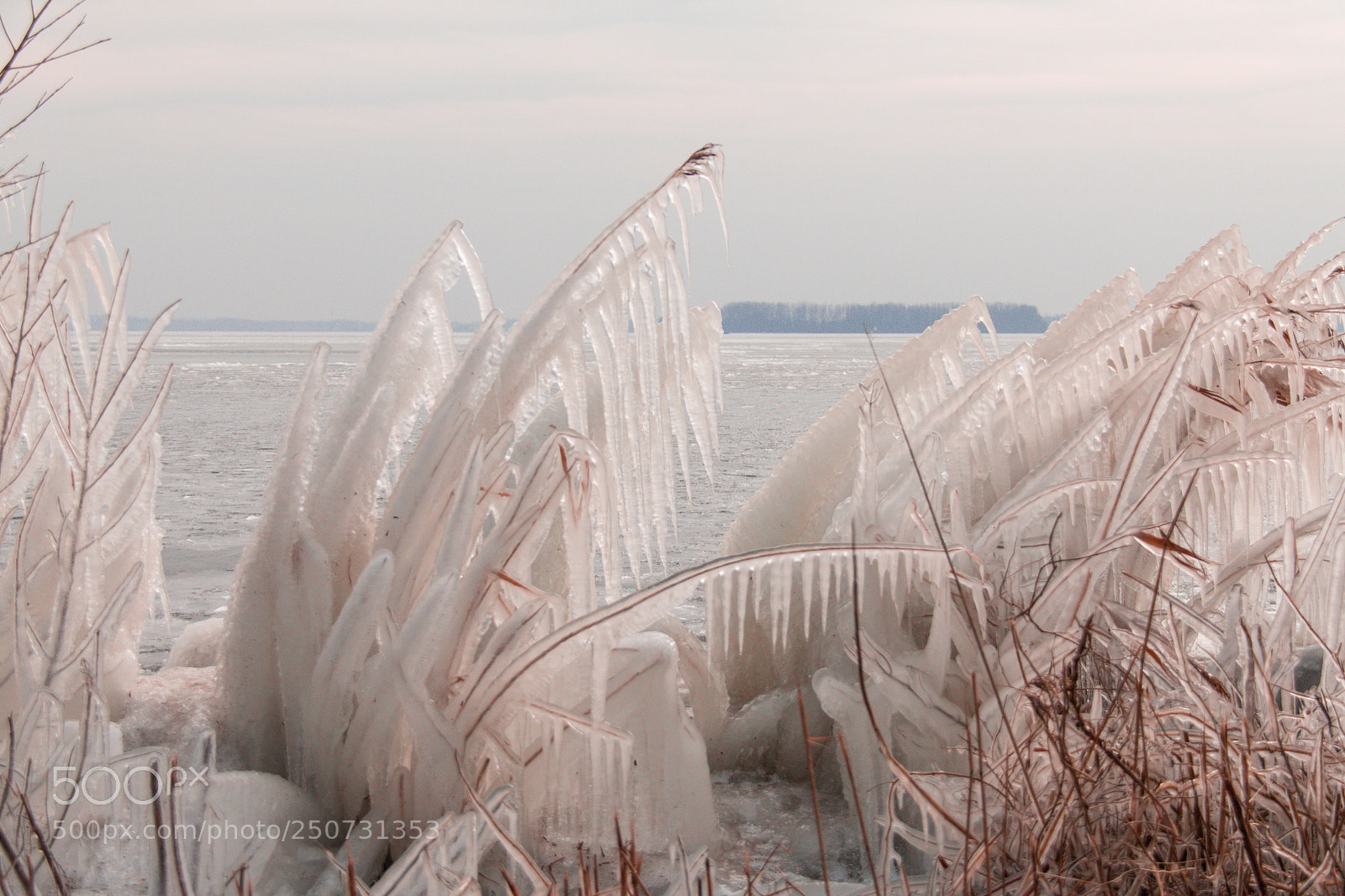 Canon EOS 70D sample photo. Beauty of wintertime photography