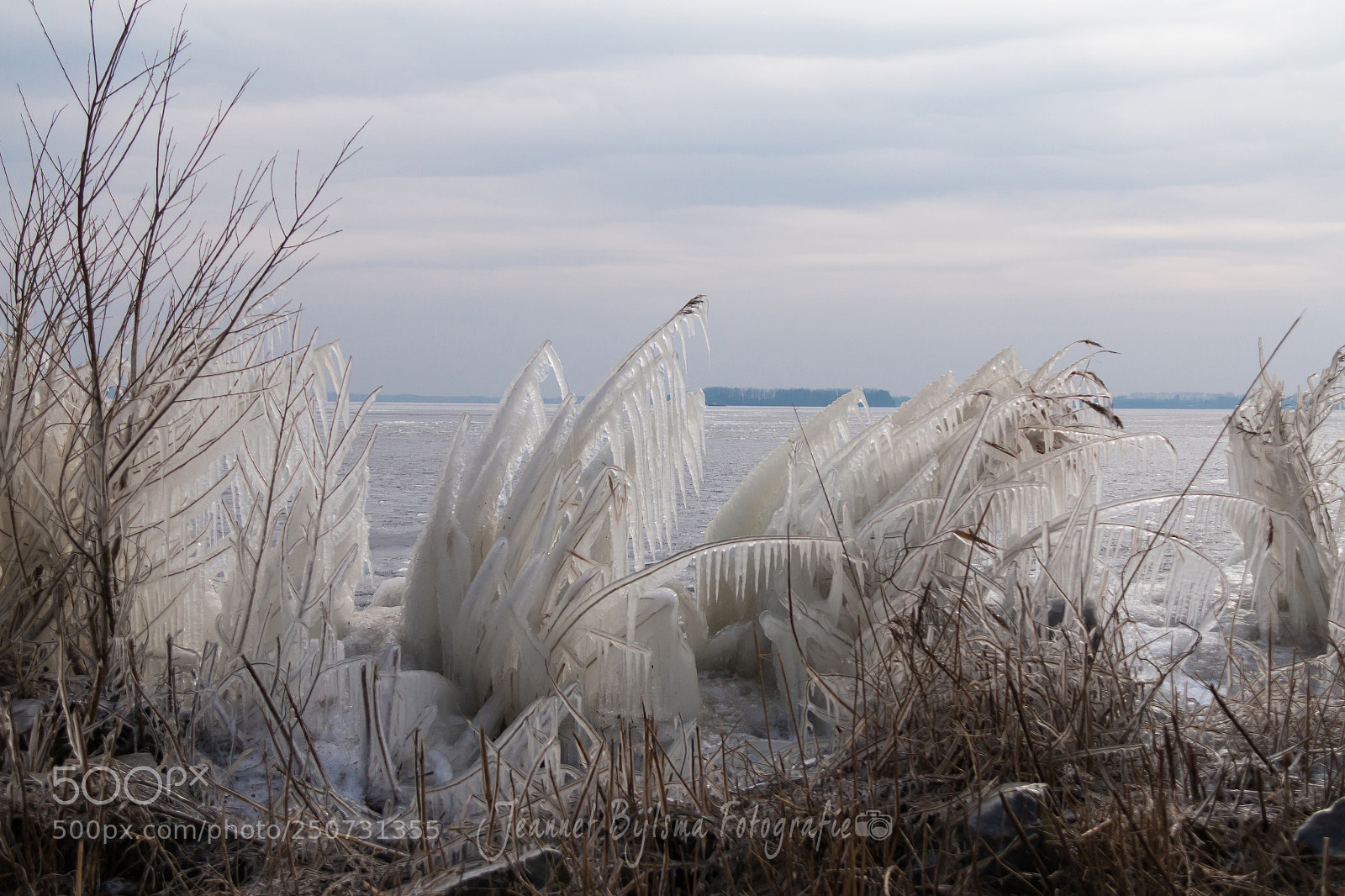 Canon EOS 70D sample photo. Beauty of wintertime photography
