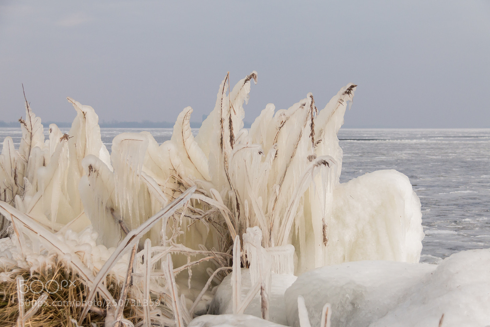 Canon EOS 70D sample photo. Beauty of wintertime photography