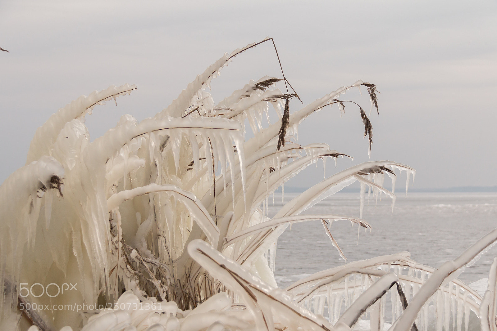 Canon EOS 70D sample photo. Beauty of wintertime photography