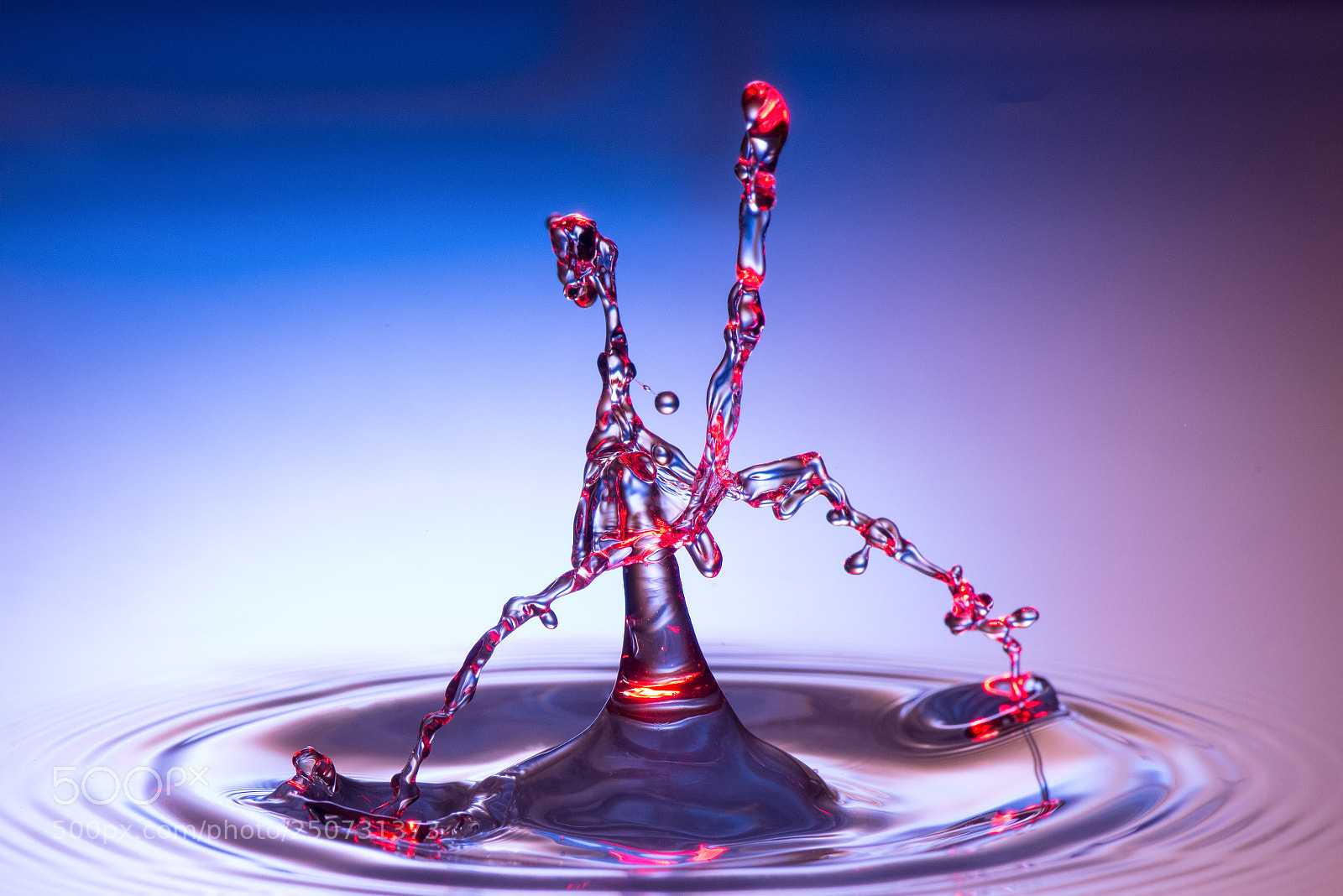 Nikon D800 sample photo. Merging drops photography