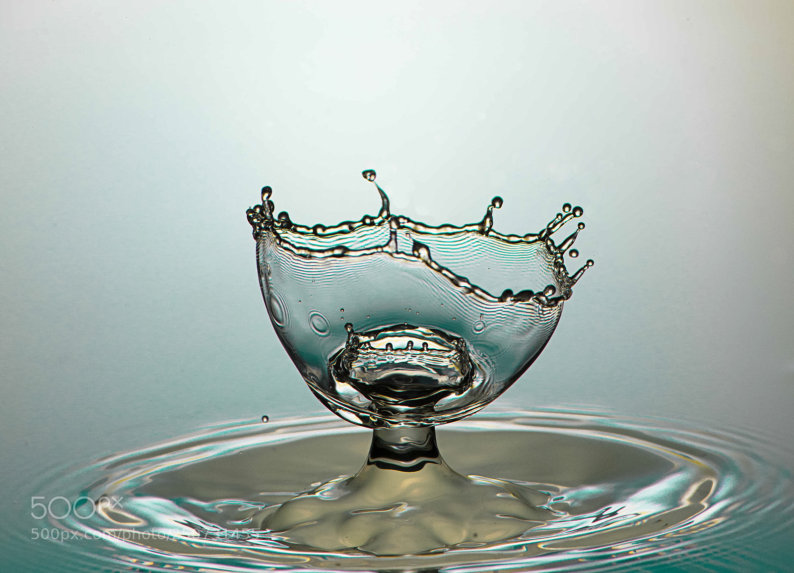 Nikon D800 sample photo. Water cup photography