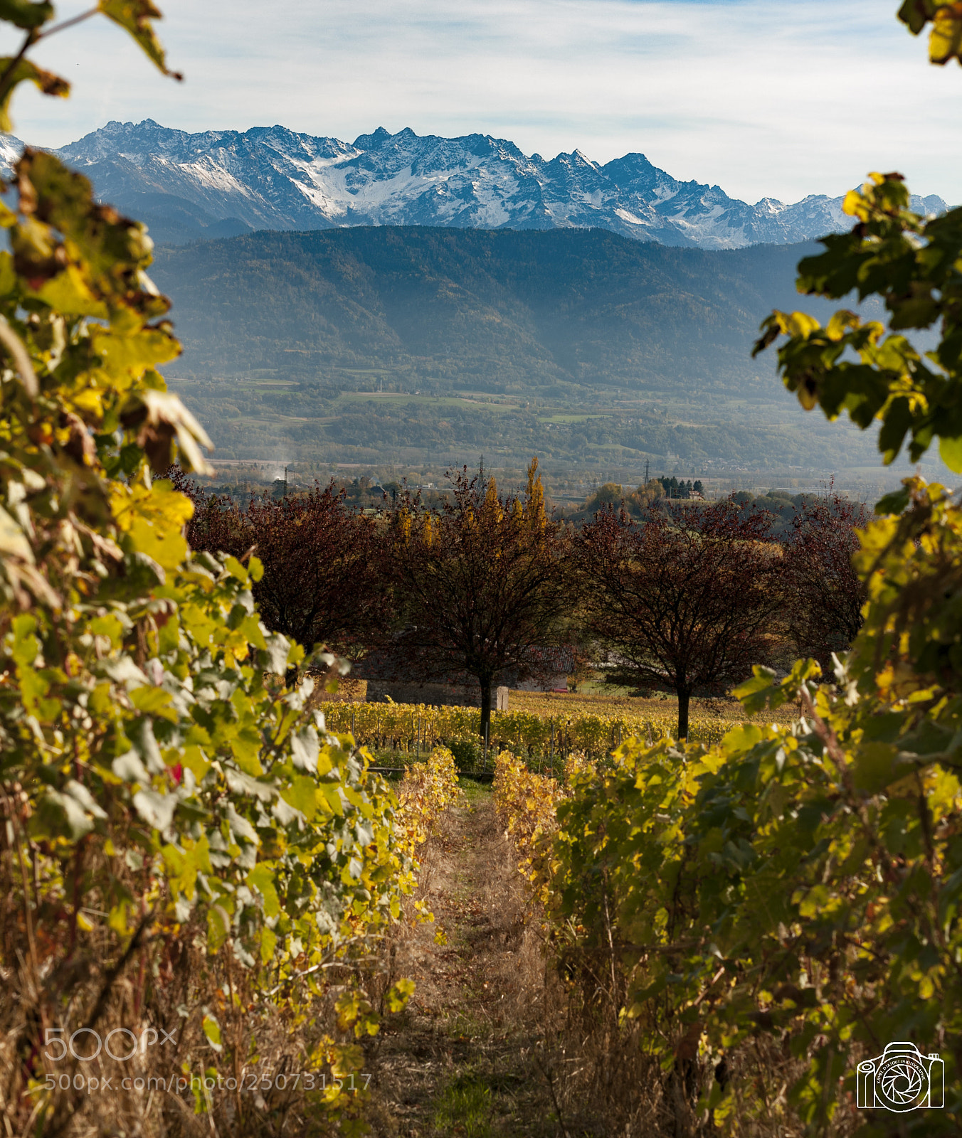 Nikon D300 sample photo. Vue sur les alpes photography
