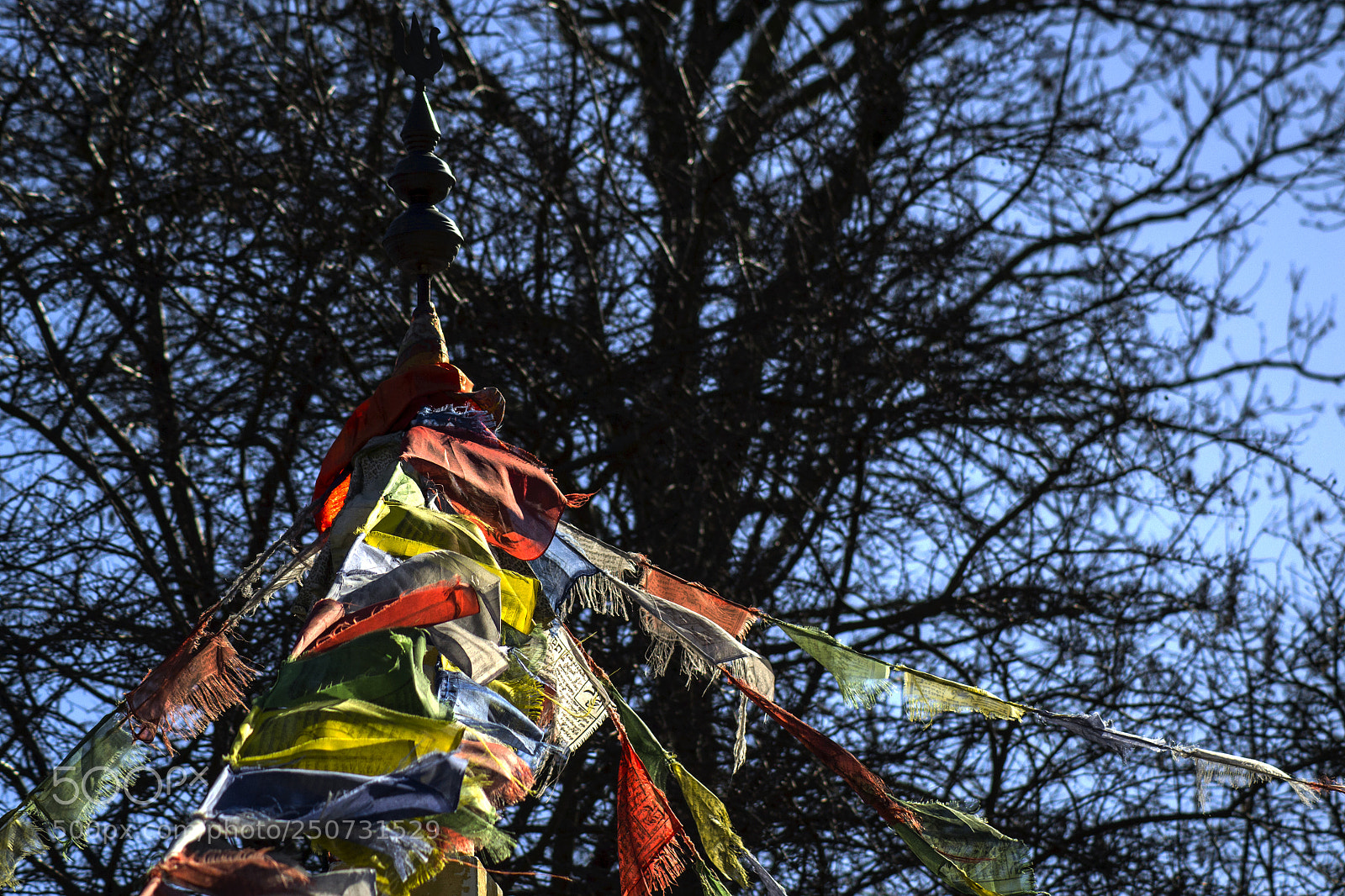 Nikon D3100 sample photo. Mantree photography