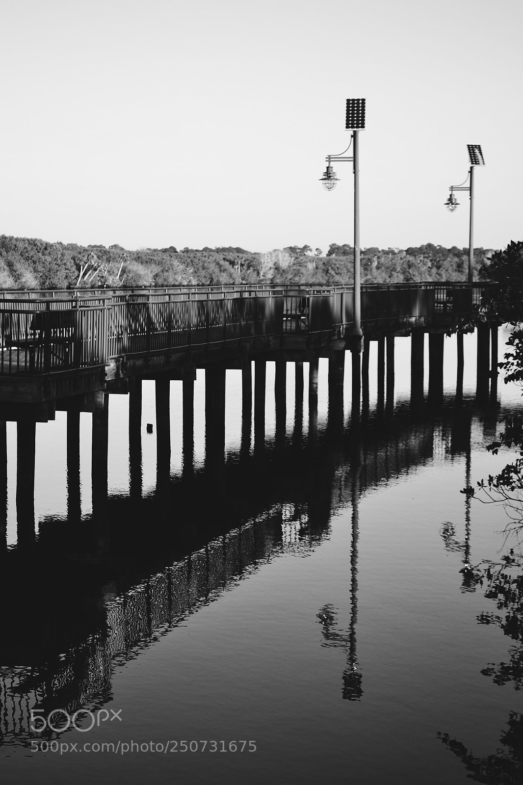 Nikon D3100 sample photo. Lake reflection photography