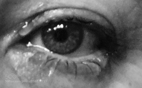 Apple iPhone 6s sample photo. Untitled photography