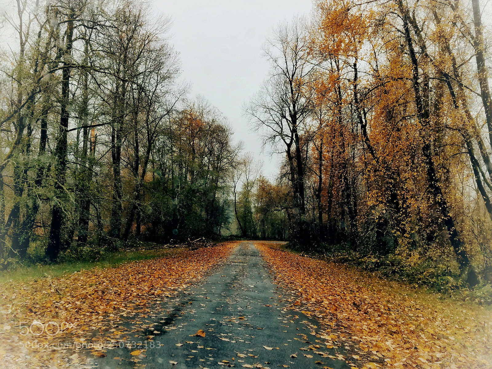 Samsung Galaxy S7 sample photo. The road home photography