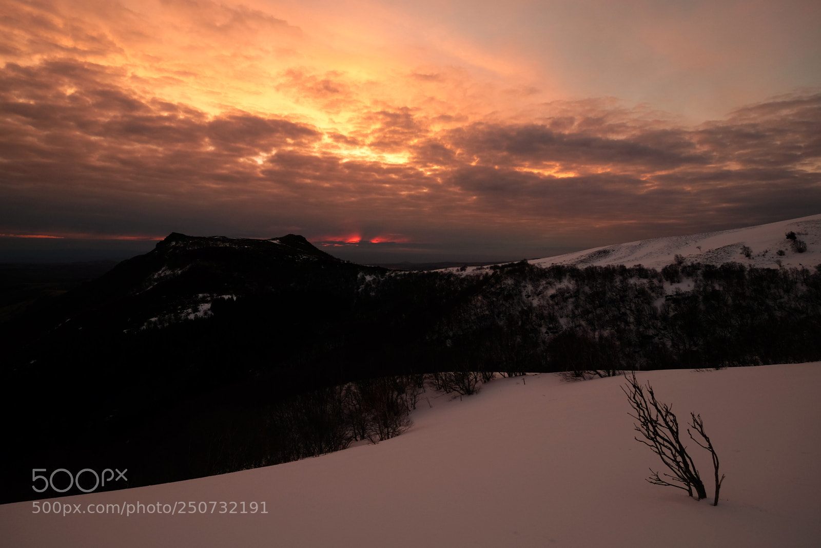 Fujifilm X-T1 sample photo. Dscf0613-1.jpg photography