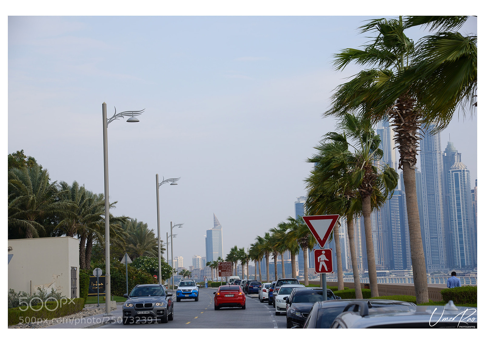 Nikon D610 sample photo. Crescent road, palm jumeirah photography