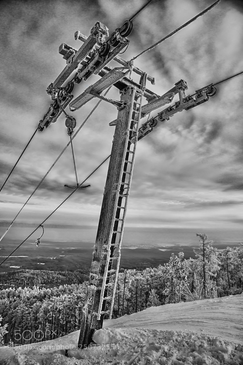 Nikon D800 sample photo. Cold photography