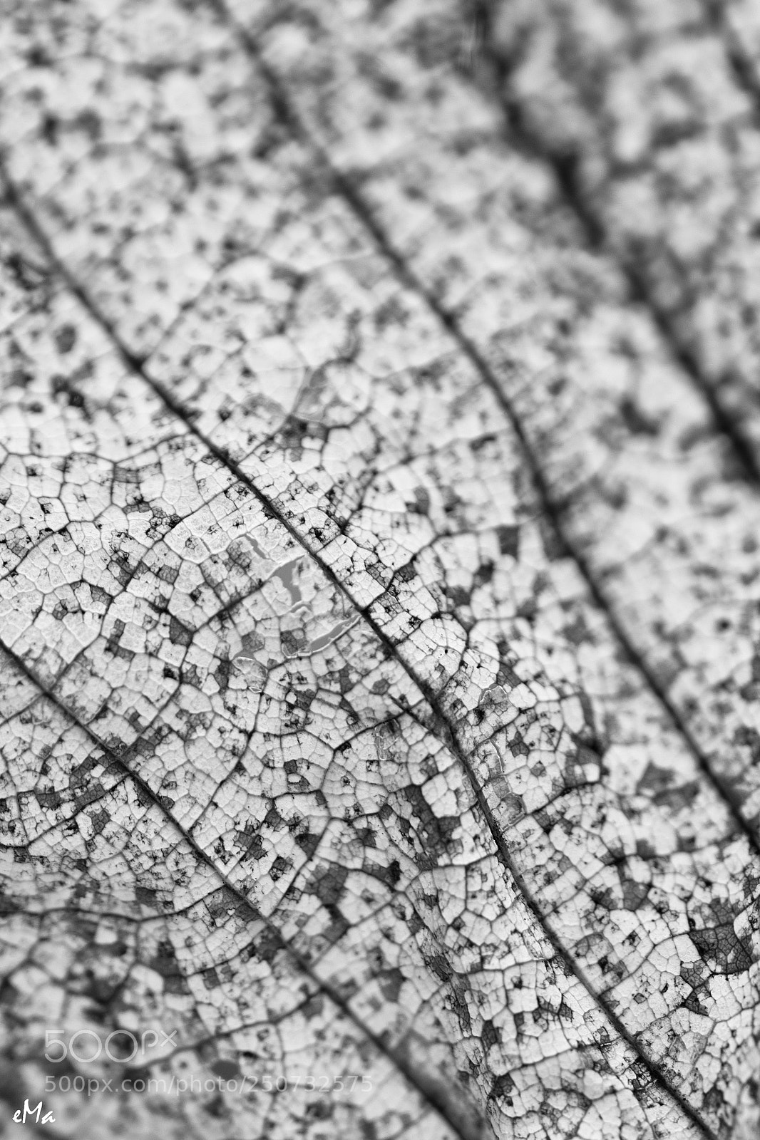 Canon EOS 80D sample photo. Satellite view or ... ?? photography