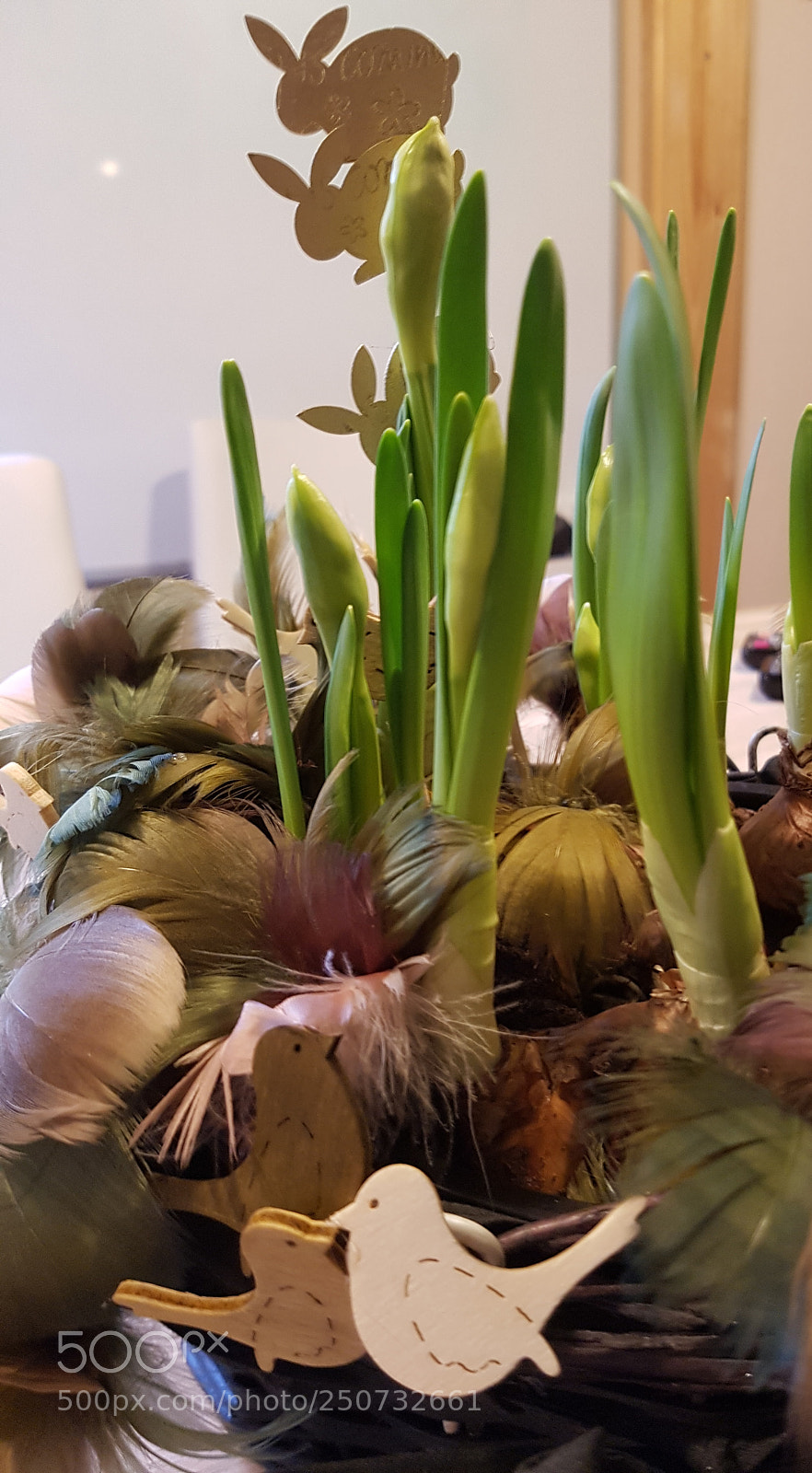Samsung Galaxy S7 sample photo. Easter! photography