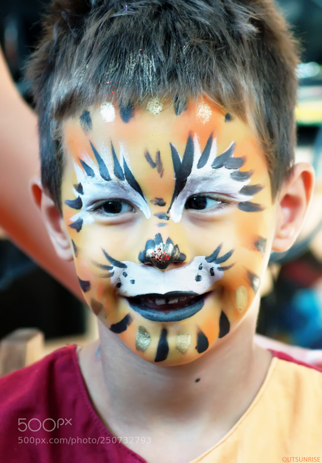 Sony SLT-A65 (SLT-A65V) sample photo. Tiger by outsunrise photography