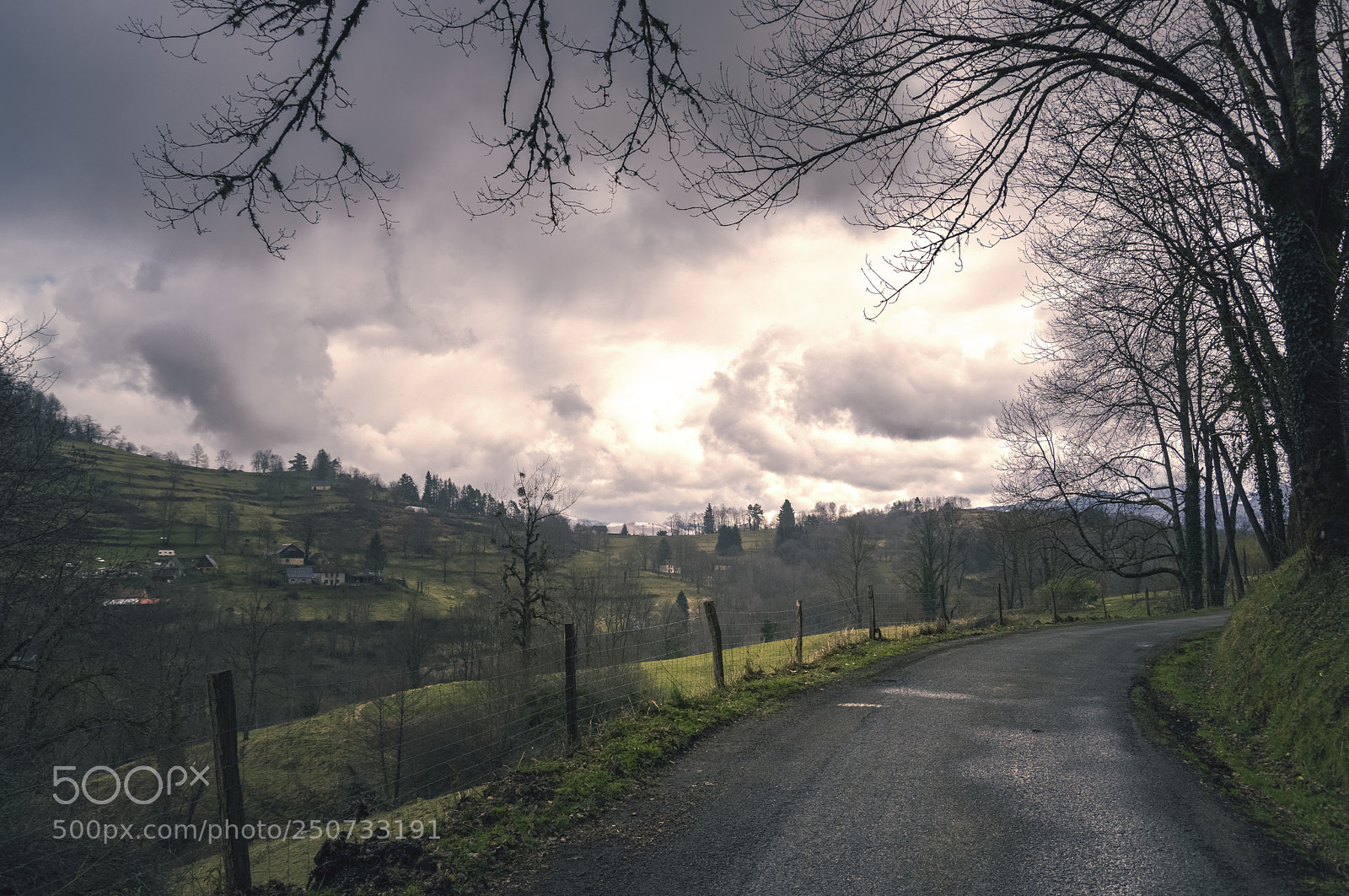 Nikon D5500 sample photo. On the road photography