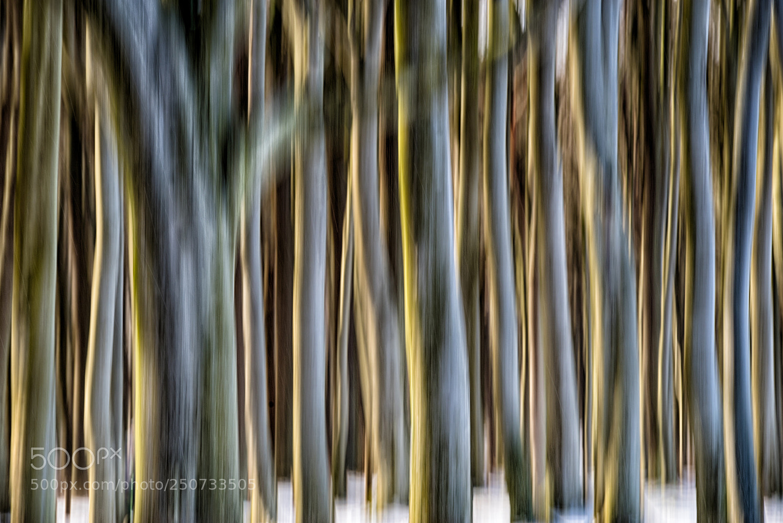 Pentax K-1 sample photo. Trunk abstract ii photography