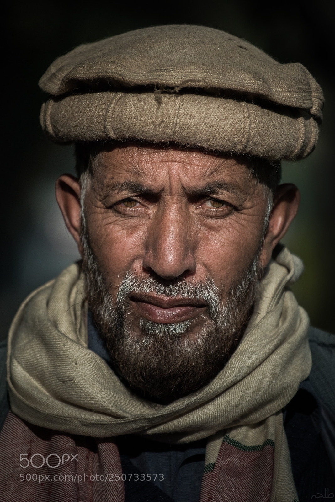 Nikon D810 sample photo. Chai wallah photography