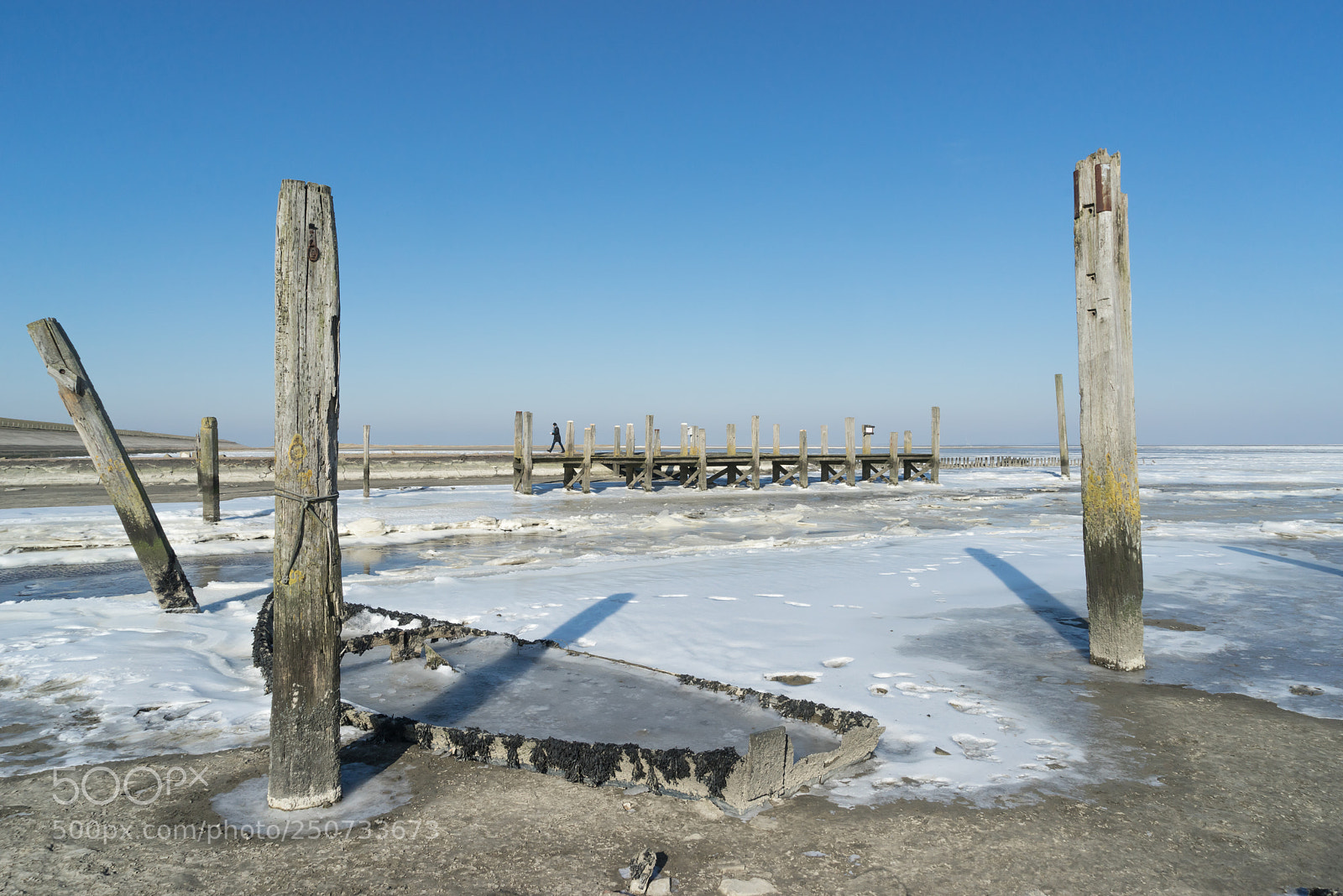 Sony a7R sample photo. Frozen harbor de cocksdorp photography