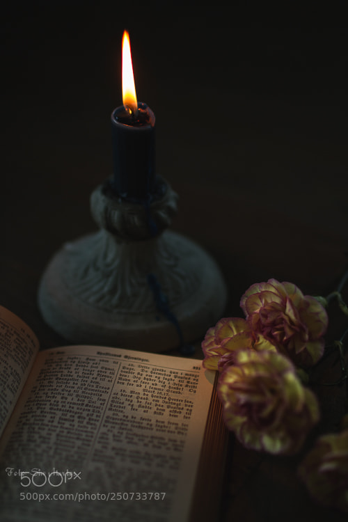Canon EOS 7D sample photo. Moody stories photography