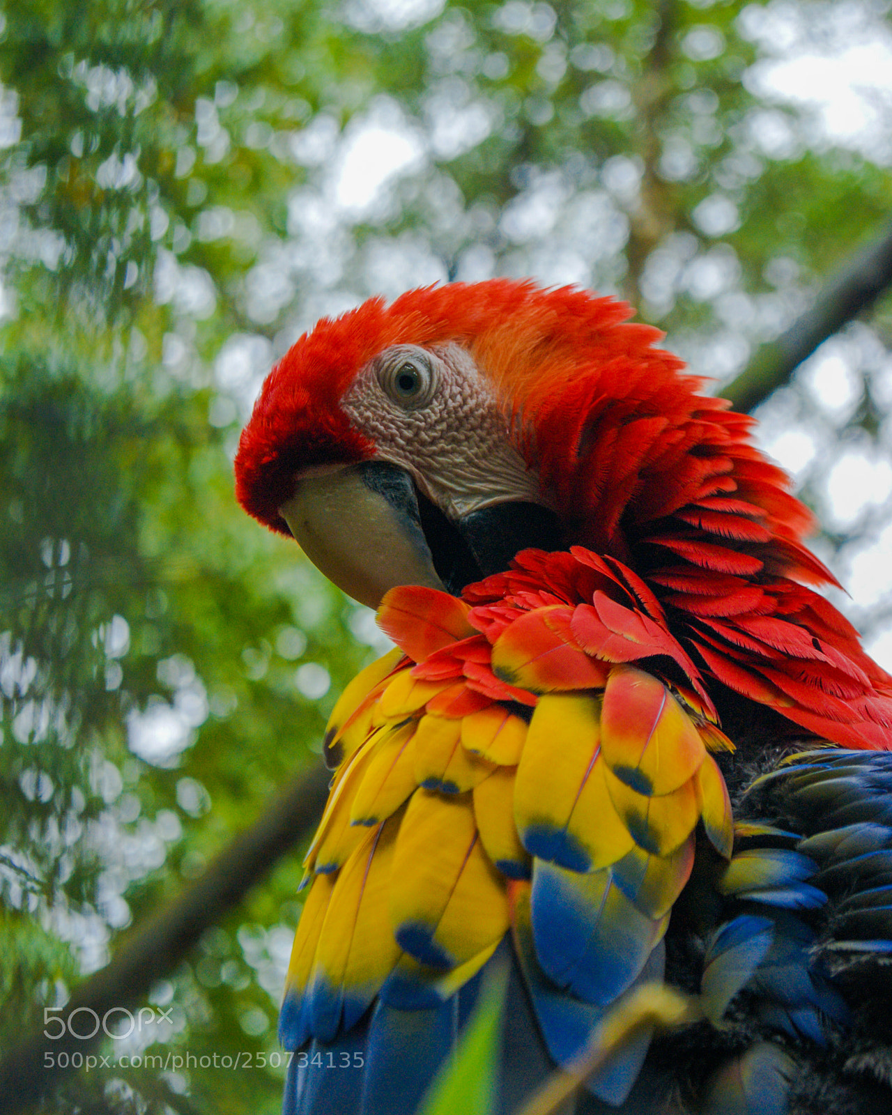 Sony Alpha DSLR-A290 sample photo. Life in color photography