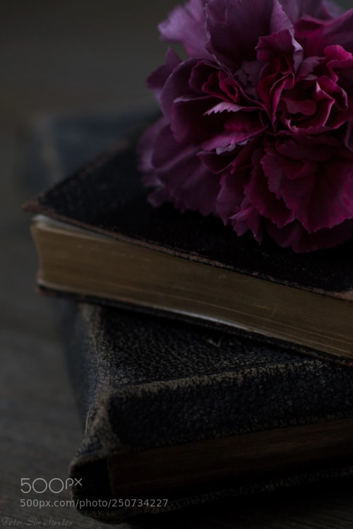 Canon EOS 7D sample photo. Old leather photography