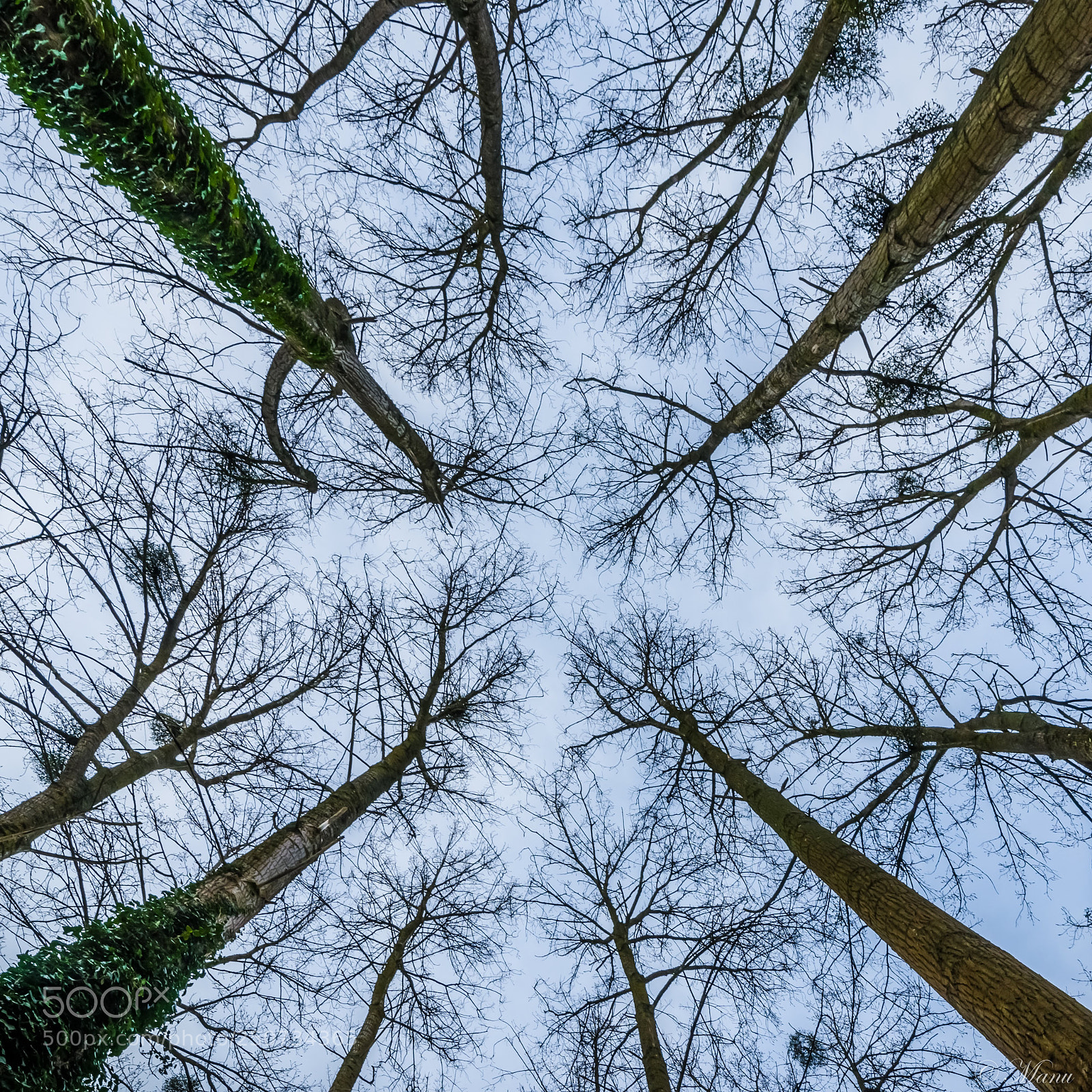 Nikon D7000 sample photo. Vers le ciel photography