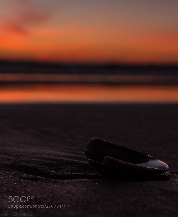 Canon EOS 7D sample photo. Beach details photography