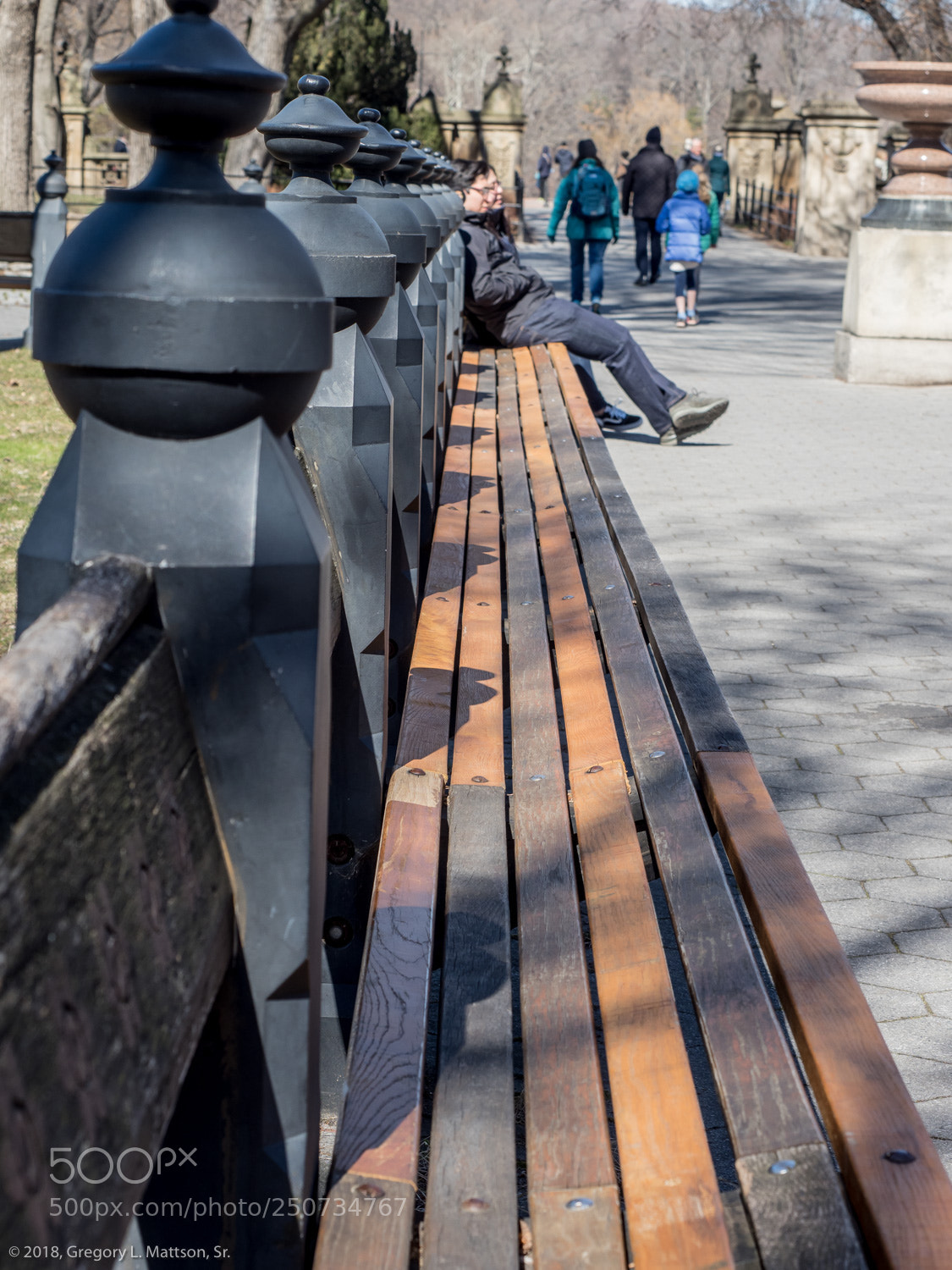 Olympus OM-D E-M1 Mark II sample photo. Central park nyc photography