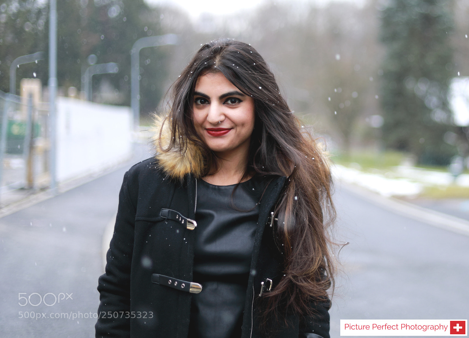 Canon EOS 5D Mark IV sample photo. Snow pearls photography