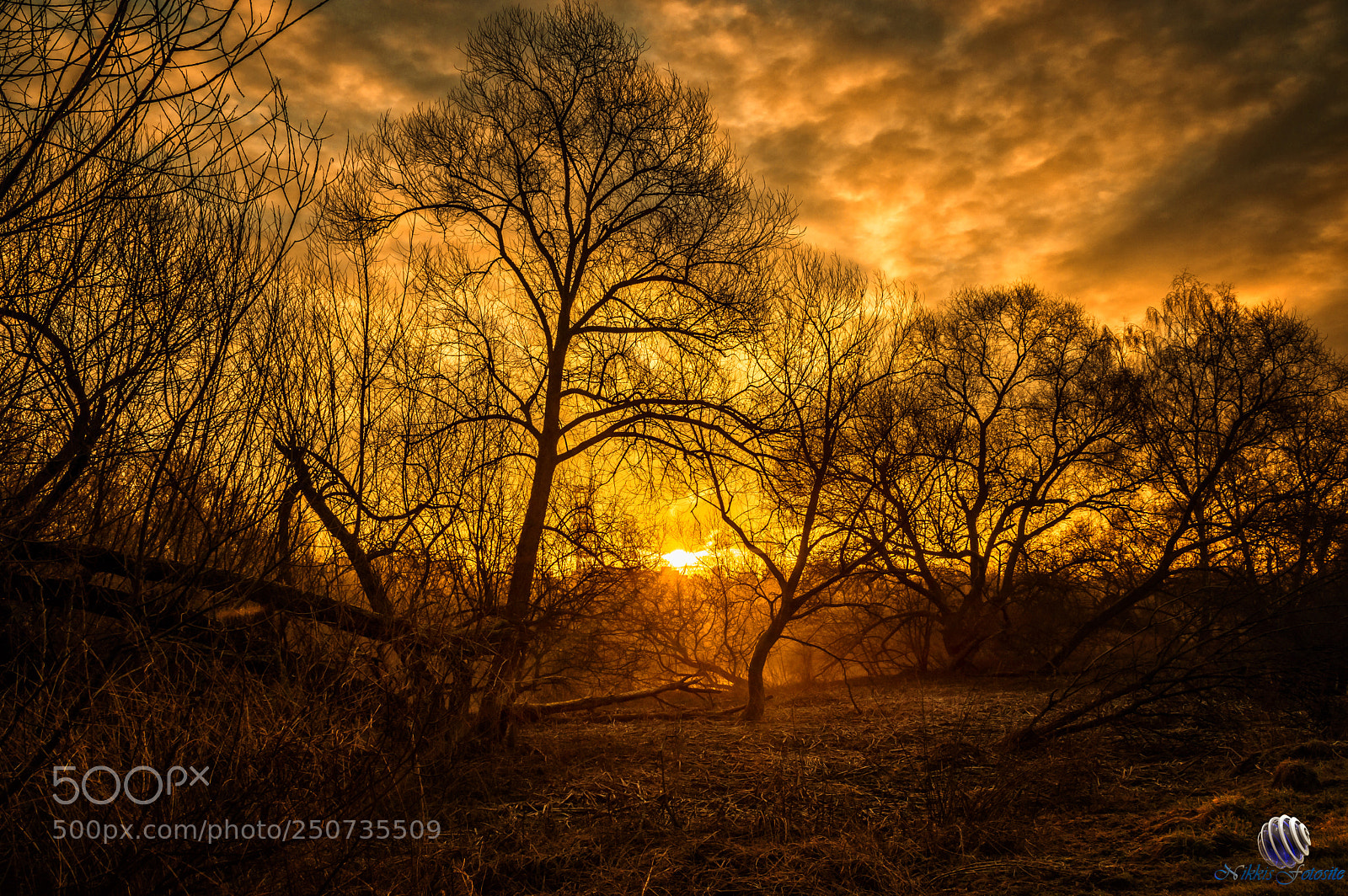 Pentax K-3 II sample photo. Sunrise photography