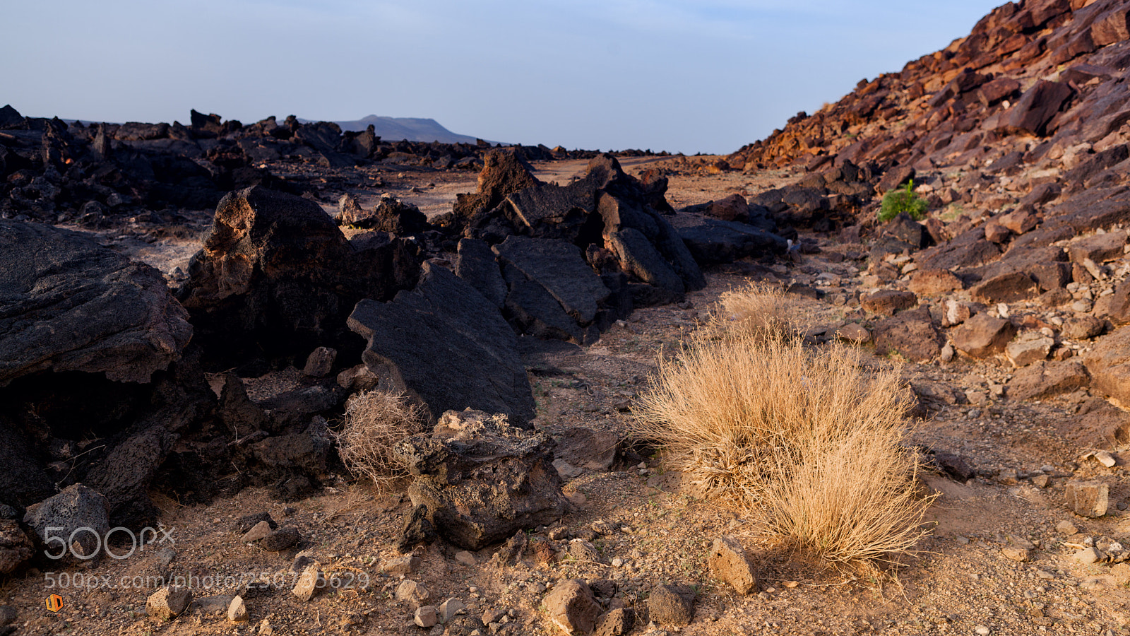 Canon EOS 5D Mark II sample photo. Harrat lava fields photography