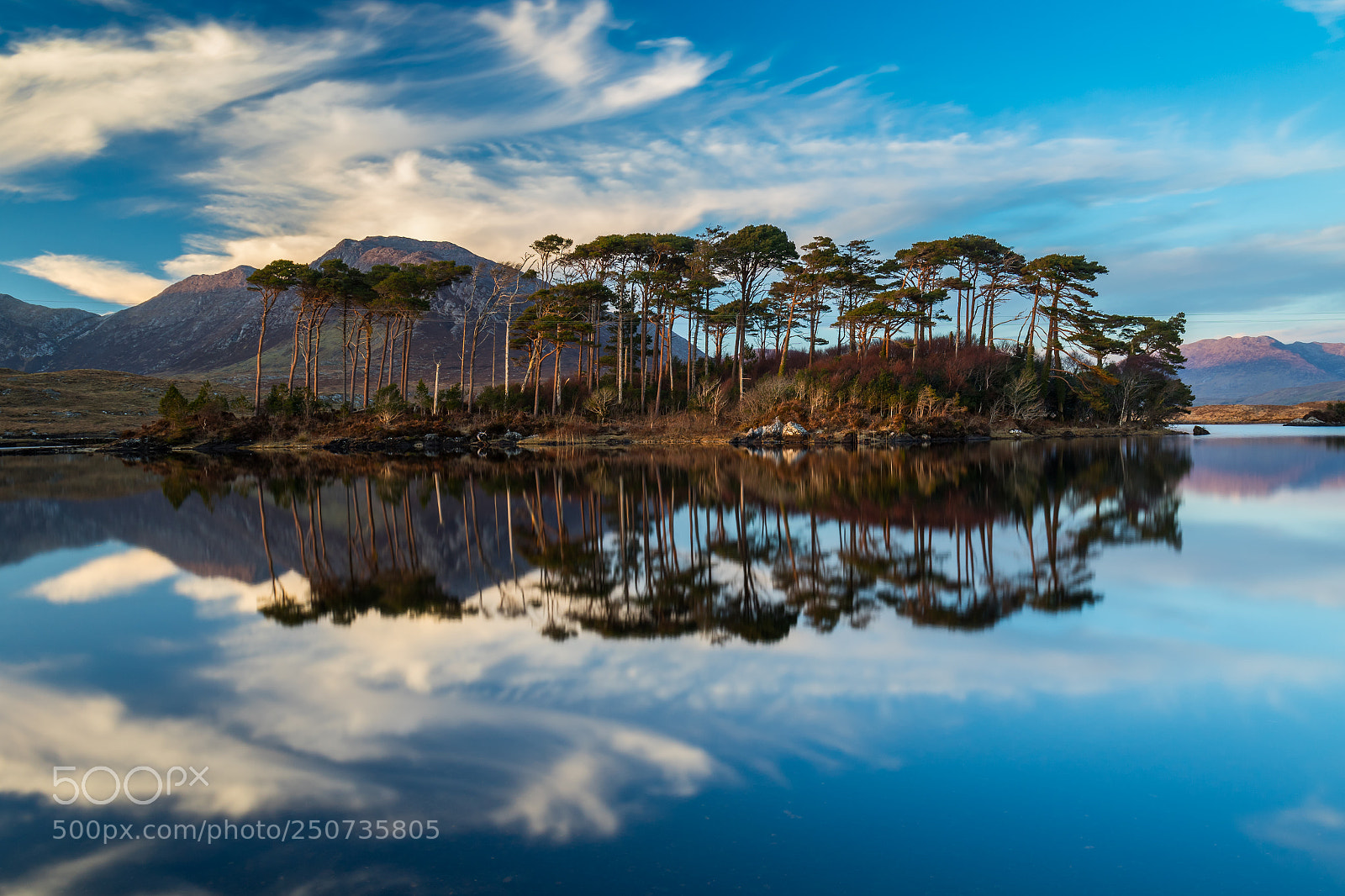 Canon EOS 7D Mark II sample photo. Blue photography