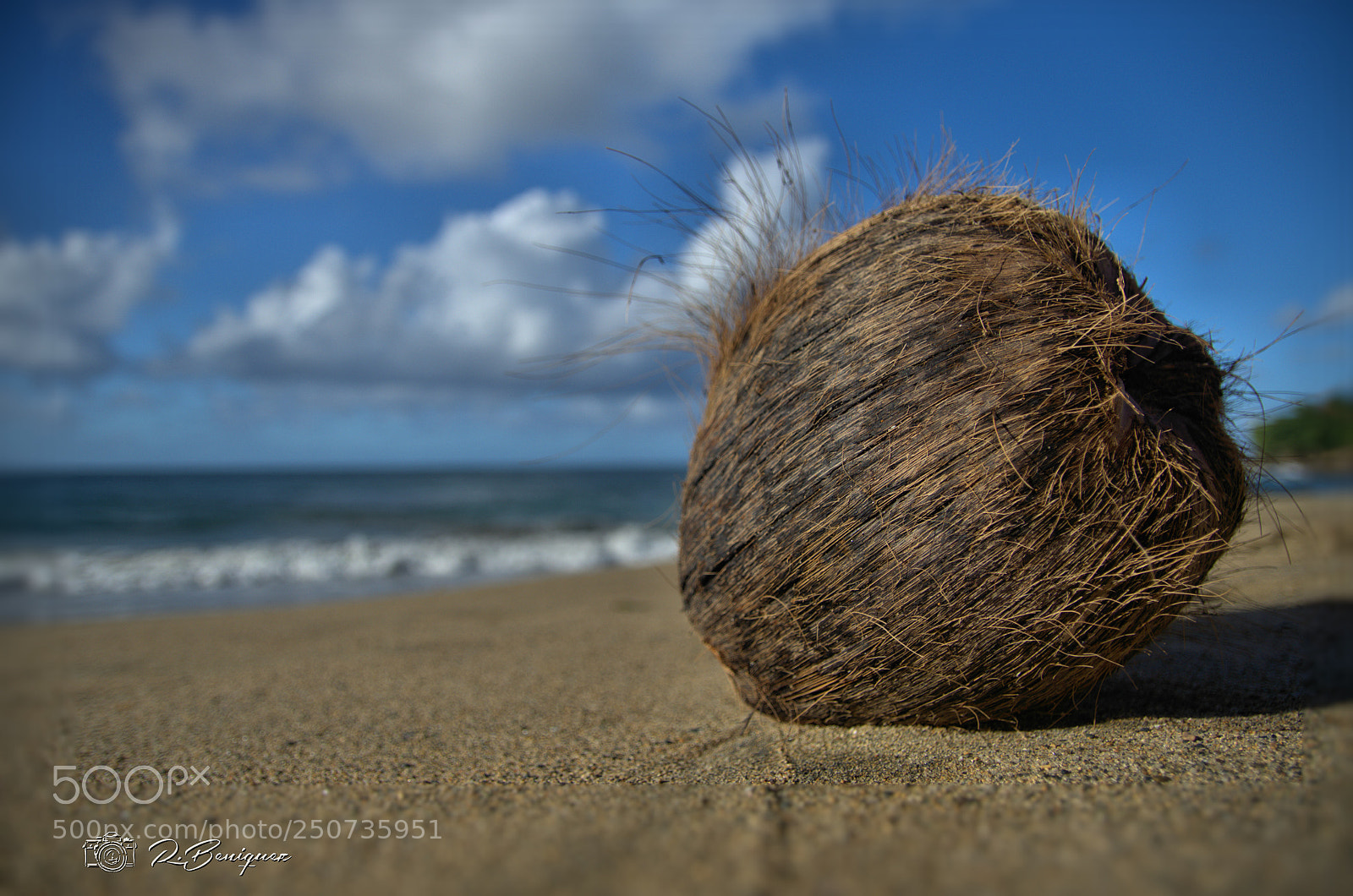 Nikon D5100 sample photo. Coconut in hatillo, puerto photography