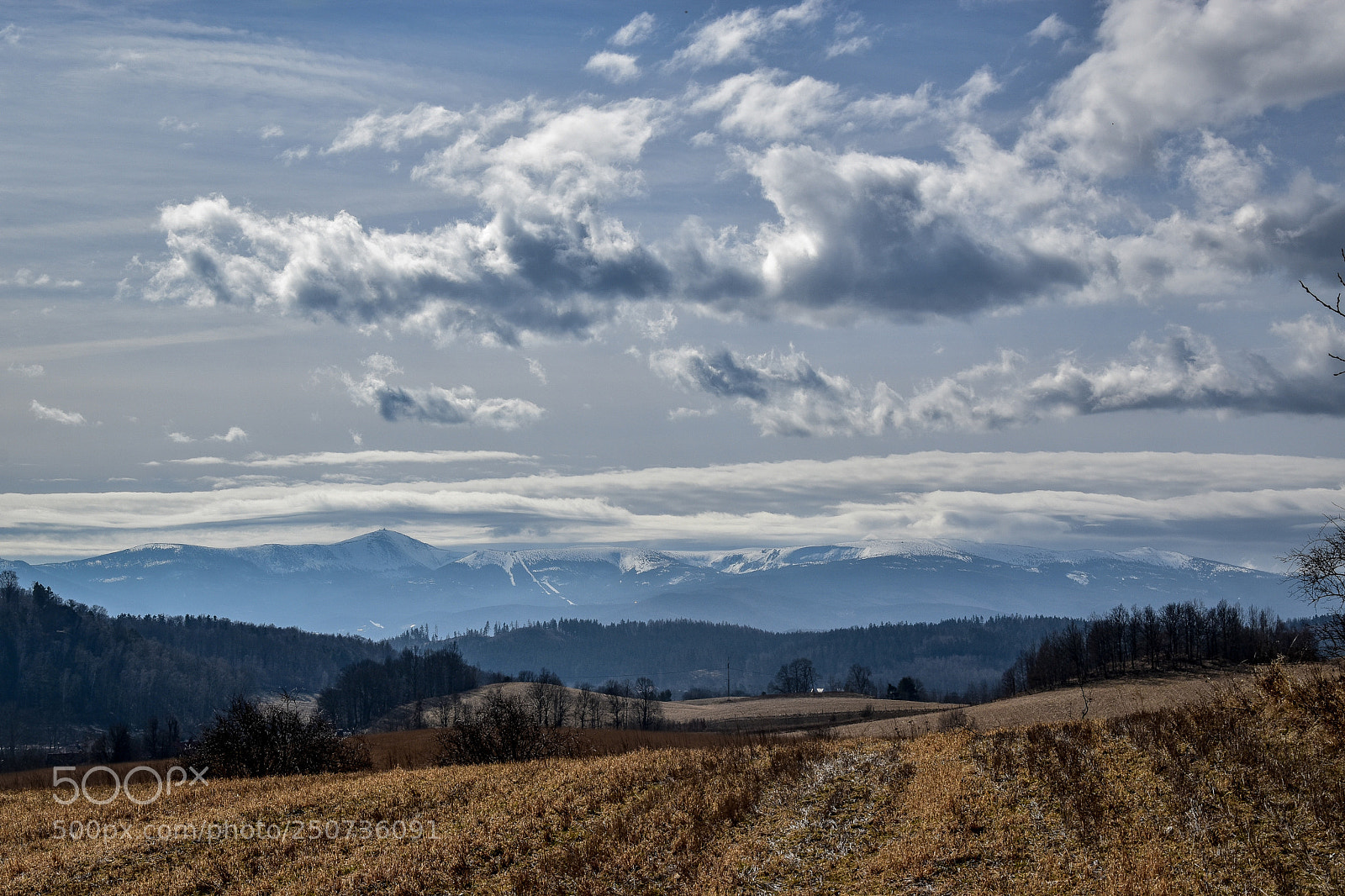 Nikon D5500 sample photo. Untitled photography